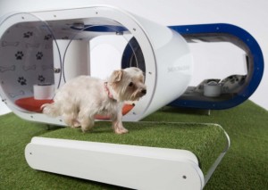 Samsung Dream Doghouse