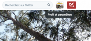 Twitter-Timeline-chronologique