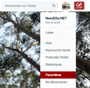 Twitter-Timeline-chronologique