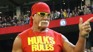 peter-thiel-gawker-hulk-hogan