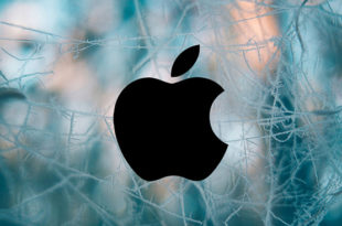 apple-security-flaw-project-zero-google