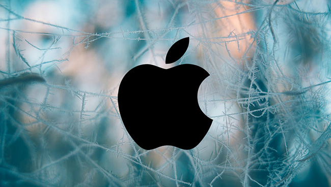 apple-security-flaw-project-zero-google