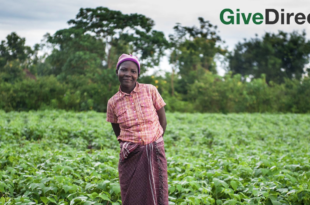 GiveDirectly-Kenya-revenu-universel