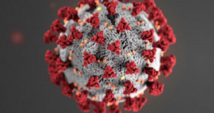 Coronavirus