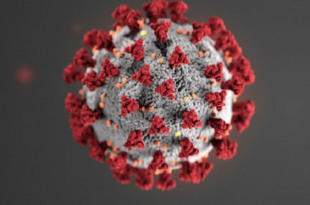 Coronavirus