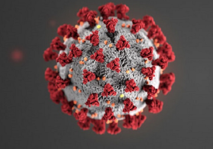 Coronavirus