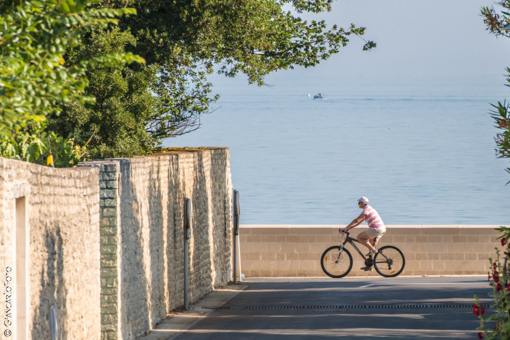 Ile-de-Re-piste-cyclable-velo