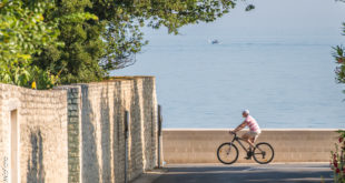 Ile-de-Re-piste-cyclable-velo